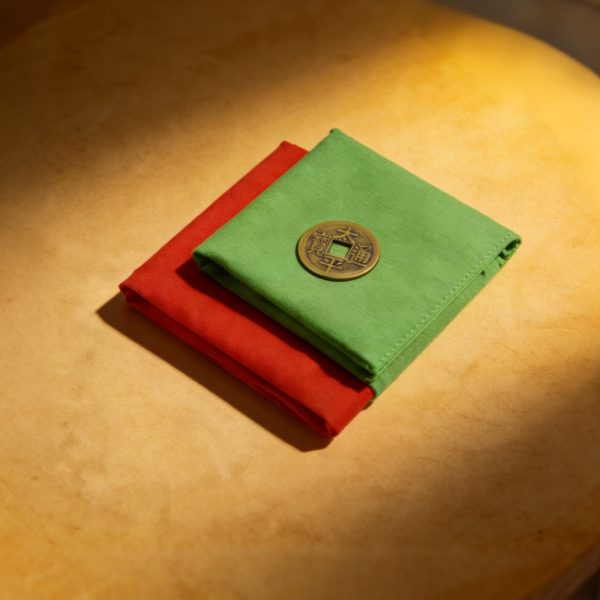 H6 Coin Strip Decoration